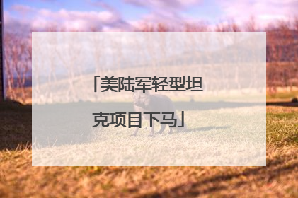 美陆军轻型坦克项目下马