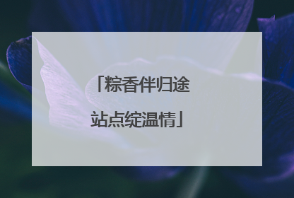 粽香伴归途 站点绽温情