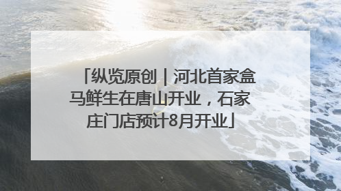 纵览原创|河北首家盒马鲜生在唐山开业,石家庄门店预计8月开业