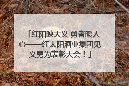 红阳映大义 勇者暖人心——红太阳酒业集团见义勇为表彰大会！