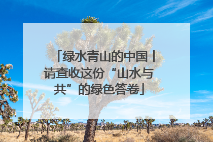 绿水青山的中国丨请查收这份“山水与共”的绿色答卷