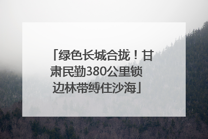 绿色长城合拢！甘肃民勤380公里锁边林带缚住沙海