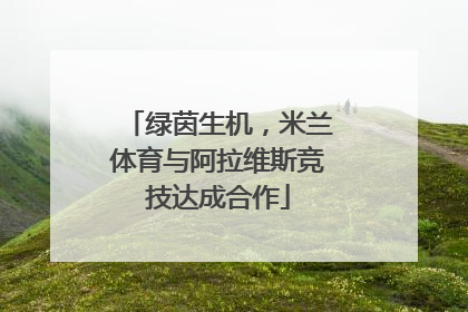 绿茵生机，米兰体育与阿拉维斯竞技达成合作