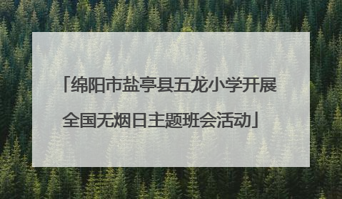 绵阳市盐亭县五龙小学开展全国无烟日主题班会活动