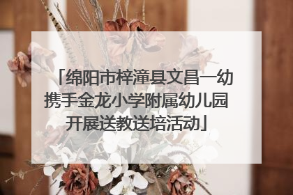 绵阳市梓潼县文昌一幼携手金龙小学附属幼儿园开展送教送培活动