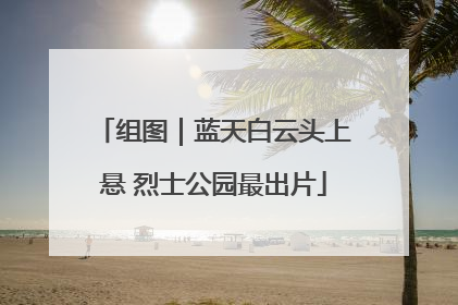 组图｜蓝天白云头上悬 烈士公园最出片