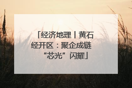 经济地理丨黄石经开区：聚企成链“芯光”闪耀