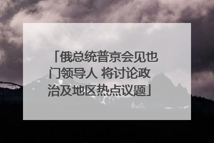 俄总统普京会见也门领导人 将讨论政治及地区热点议题