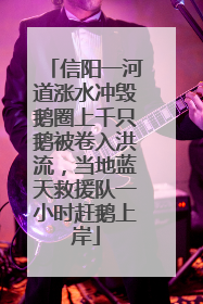 信阳一河道涨水冲毁鹅圈上千只鹅被卷入洪流，当地蓝天救援队一小时赶鹅上岸