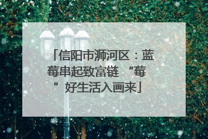 信阳市浉河区：蓝莓串起致富链 “莓”好生活入画来
