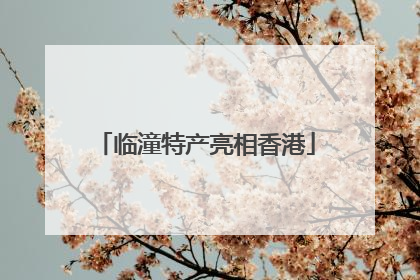临潼特产亮相香港