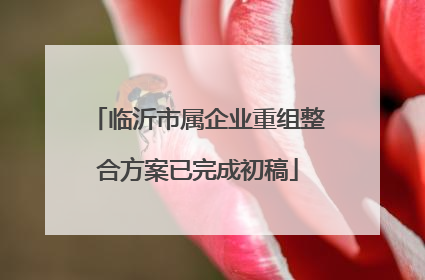 临沂市属企业重组整合方案已完成初稿