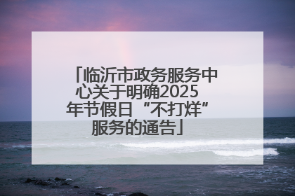 临沂市政务服务中心关于明确2025年节假日“不打烊”服务的通告