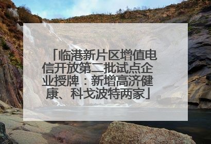 临港新片区增值电信开放第二批试点企业授牌：新增高济健康、科戈波特两家