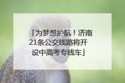 为梦想护航！济南21条公交线路将开设中高考专线车