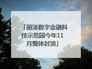 丽泽数字金融科技示范园今年11月整体封顶