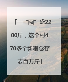 一“囤”盛2200斤，这个村470多个新粮仓存麦百万斤