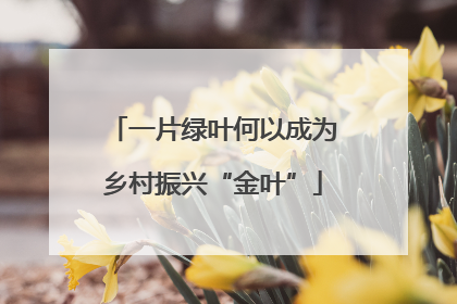 一片绿叶何以成为乡村振兴“金叶”