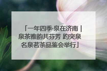 一年四季·泉在济南｜泉茶雅韵共芬芳 趵突泉名泉茗茶品鉴会举行