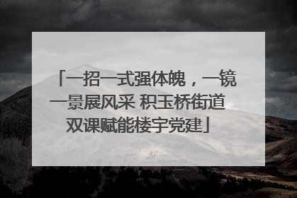 一招一式强体魄，一镜一景展风采 积玉桥街道双课赋能楼宇党建