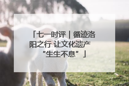 七一时评｜循迹洛阳之行 让文化遗产“生生不息”