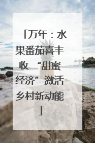 万年：水果番茄喜丰收 “甜蜜经济”激活乡村新动能