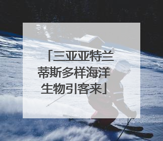 三亚亚特兰蒂斯多样海洋生物引客来