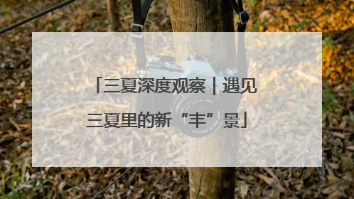 三夏深度观察｜遇见三夏里的新“丰”景