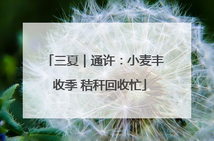 三夏｜通许：小麦丰收季 秸秆回收忙