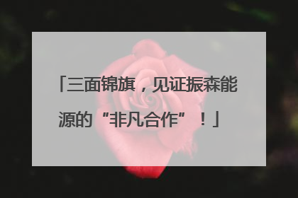 三面锦旗，见证振森能源的“非凡合作”！