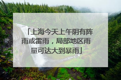 上海今天上午阴有阵雨或雷雨，局部地区雨量可达大到暴雨