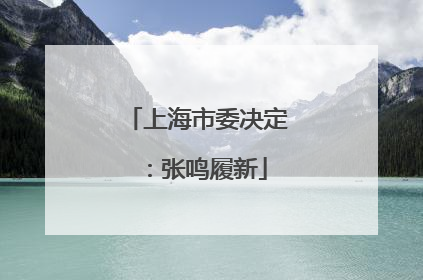 上海市委决定：张鸣履新