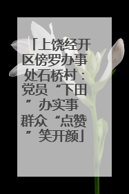上饶经开区傍罗办事处石桥村：党员“下田”办实事 群众“点赞”笑开颜