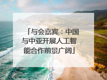 与会嘉宾：中国与中亚开展人工智能合作前景广阔