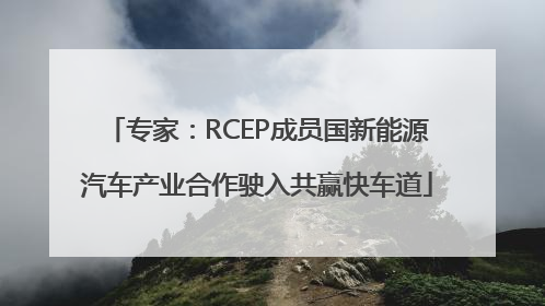 专家：RCEP成员国新能源汽车产业合作驶入共赢快车道