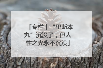 专栏丨“里斯本丸”沉没了，但人性之光永不沉没