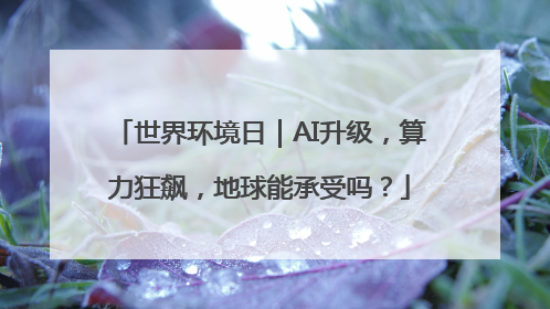世界环境日｜AI升级，算力狂飙，地球能承受吗？