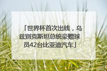 世界杯首次出线，乌兹别克斯坦总统豪赠球员42台比亚迪汽车