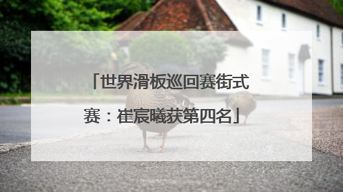 世界滑板巡回赛街式赛：崔宸曦获第四名