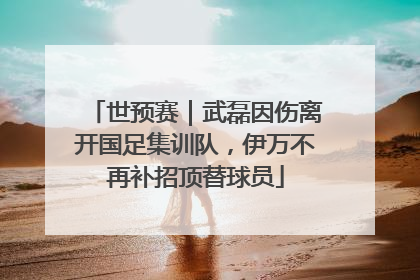 世预赛｜武磊因伤离开国足集训队，伊万不再补招顶替球员