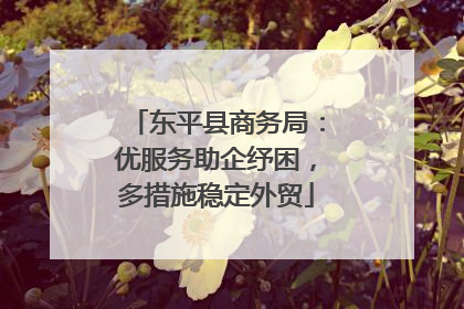 东平县商务局：优服务助企纾困，多措施稳定外贸