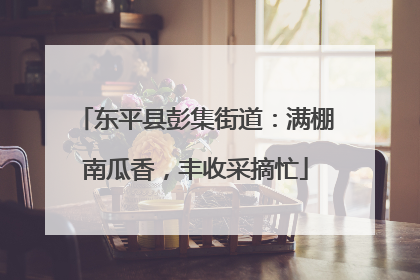 东平县彭集街道：满棚南瓜香，丰收采摘忙