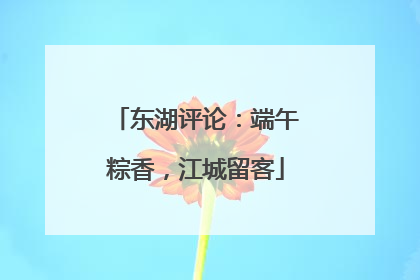 东湖评论：端午粽香，江城留客