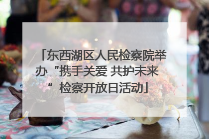 东西湖区人民检察院举办“携手关爱 共护未来”检察开放日活动