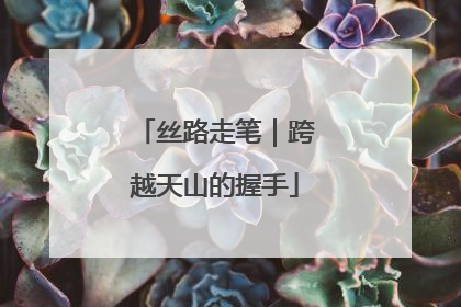 丝路走笔｜跨越天山的握手