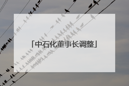 中石化董事长调整