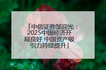 中信证券邹迎光：2025中国经济开局良好 中国资产吸引力持续提升