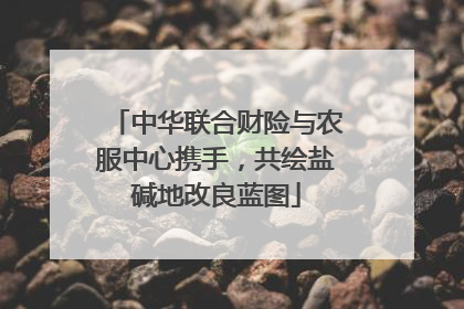中华联合财险与农服中心携手，共绘盐碱地改良蓝图