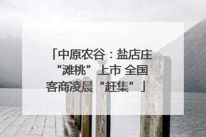 中原农谷：盐店庄“滩桃”上市 全国客商凌晨“赶集”