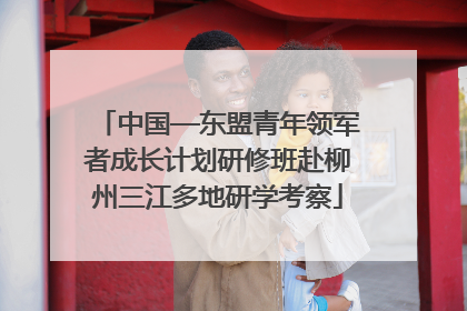 中国—东盟青年领军者成长计划研修班赴柳州三江多地研学考察
